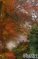 Misty Autumn animovaný GIF