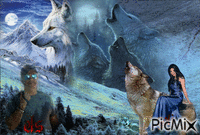 el sr de los lobos - Zdarma animovaný GIF