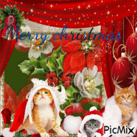 Merry Christmas and cats - GIF animé gratuit