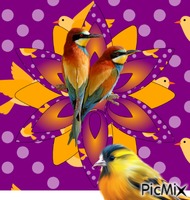Ornitología animasyonlu GIF