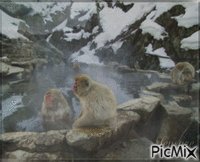 Hot springs,Japan - GIF animado grátis