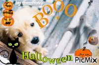 happy Halloween - Безплатен анимиран GIF