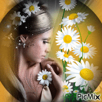 daisies animirani GIF