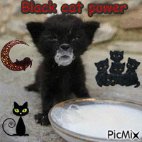 Black cat power - GIF animé gratuit