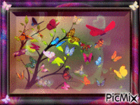 Papillons Animated GIF