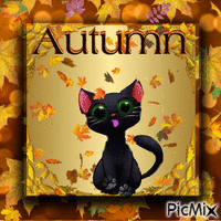 autumn ;) animovaný GIF