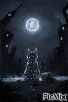 luna - Nemokamas animacinis gif