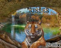 kisses - Free animated GIF