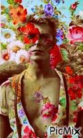 David Bowie animerad GIF