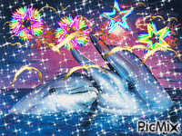 deux dauphin amoureux - Gratis animerad GIF