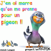 Pigeon 1 - GIF animé gratuit