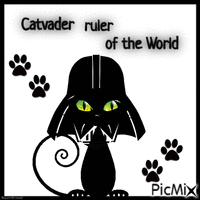 Catvader ruler of the World