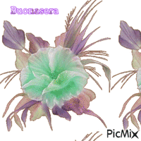 fiore geanimeerde GIF