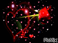 Love & heart & roses - GIF animé gratuit