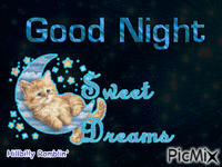 Good Night - Zdarma animovaný GIF