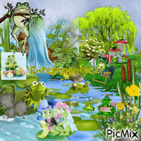 frogs paradise <3