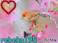 rebeka195 - Ücretsiz animasyonlu GIF