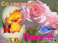 Светлая Пасха - Ücretsiz animasyonlu GIF