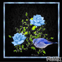 Fairy Bluebird - GIF animado gratis