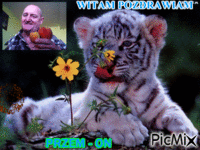 POZDRAWIAM PAMIETAM   PRZEM -ON  :-))) - Free animated GIF