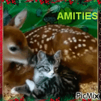 Amitiés - Gratis animeret GIF