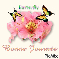 Papillons sur fleur - 無料のアニメーション GIF
