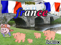 France animasyonlu GIF