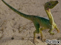 dinosaur - Animovaný GIF zadarmo