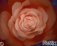 Aromaterapia animēts GIF