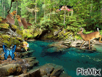 v lese - GIF animado grátis