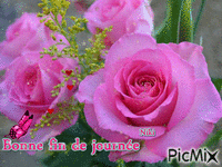 Bonne fin de journée " Roses" - GIF animé gratuit