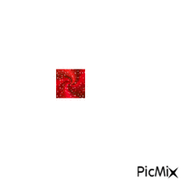 Le caré rouge - Darmowy animowany GIF