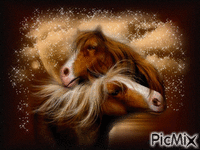 beauté des chevaux - GIF animate gratis