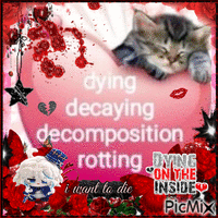 dying decaying decomposition rotting meme Animated GIF
