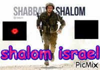 Support israel - Free animated GIF