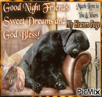 Good Night Friends Sweet Dreams And God Bless! - Animovaný GIF zadarmo