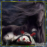 black horse !!!!! - Gratis animeret GIF