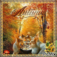 Herbst, automne, autumn - Безплатен анимиран GIF