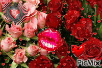 PicMix.com2015 - Kostenlose animierte GIFs
