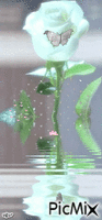 788şuuu - Darmowy animowany GIF