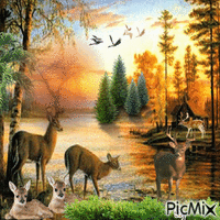 Peaceful Deer - Free animated GIF