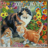 Good Morning. Have a nice day. Cats GIF animé