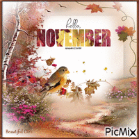 Hello November - GIF animé gratuit