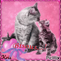 Bisous et chats - GIF animate gratis