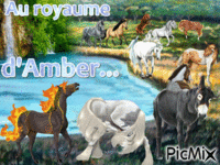amber - Бесплатный анимированный гифка