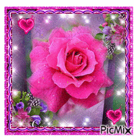Pink rose animovaný GIF