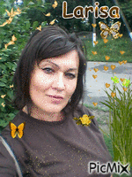 Бабочки. - Free animated GIF