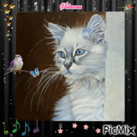Gatto e farfalle - GIF animate gratis