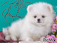 Puppy animeret GIF