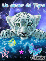 Tigre <3 - 免费动画 GIF